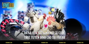 Đá gà cựa sắt