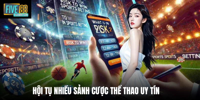 Hội tụ nhiều sảnh cược thể thao uy tín