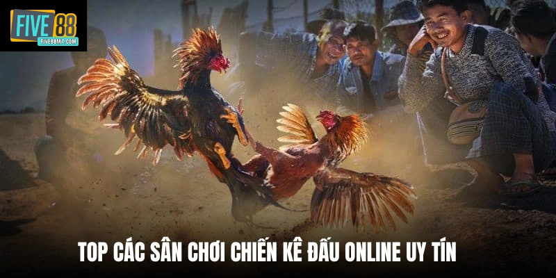 Top các sân chơi chiến kê đấu online uy tín 