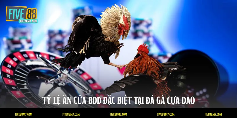 Tỷ lệ ăn cửa BDD đặc biệt tại đá gà cựa dao