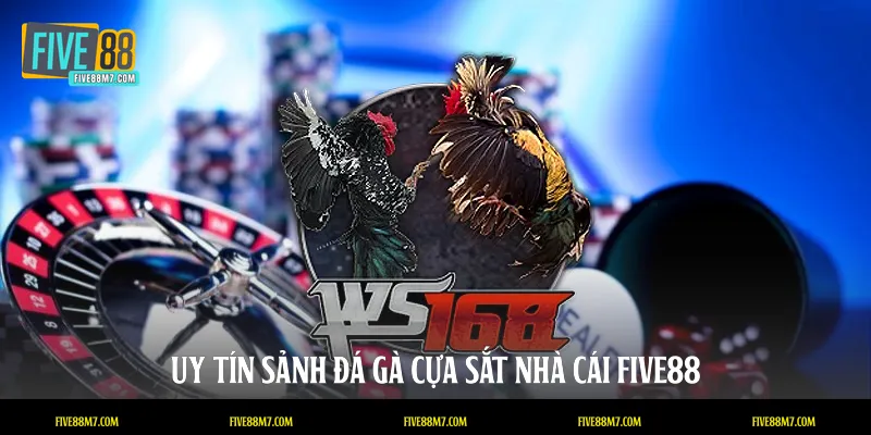Uy tín sảnh đá gà cựa sắt nhà cái FIVE88